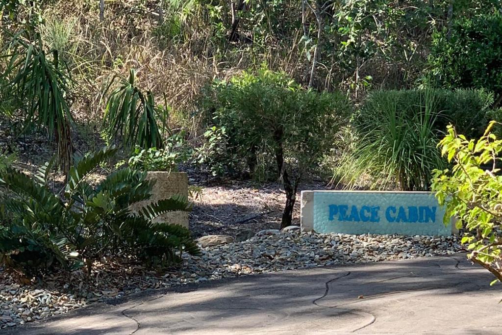 Beachfront Peace Cabin Oak Beach Buitenkant foto